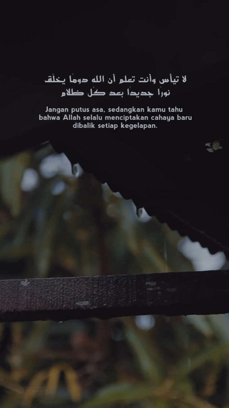 Quotes Arabic