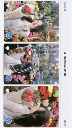 frame iphone
