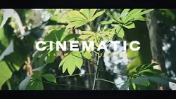 CINEMATIC NATURE HD