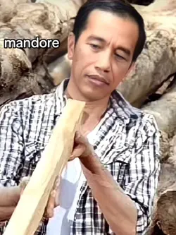 TREND TUKANG KAYU 