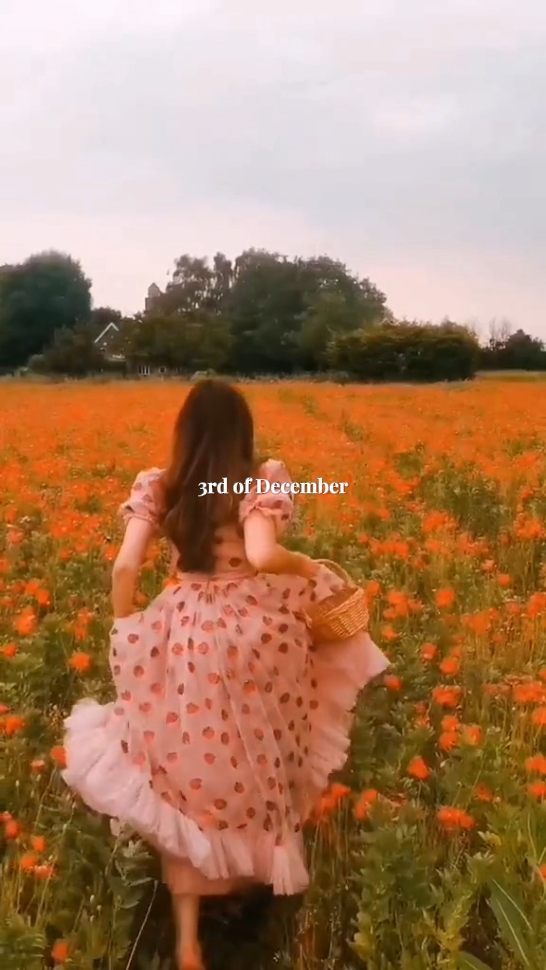 3rd december