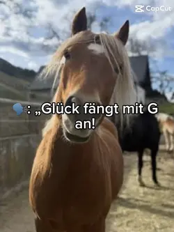 Glück