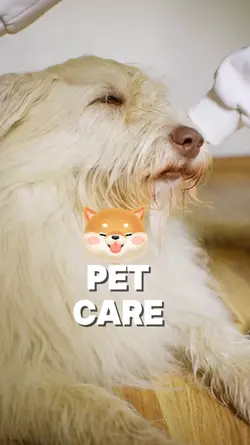 Pet care - Vlog 