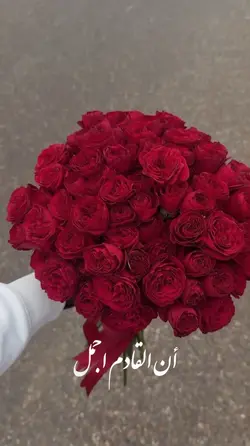 القادم اجمل