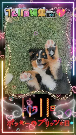 ポッキー＆プリッツの日