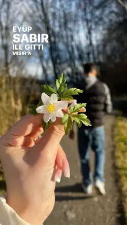 Güzel şablon 