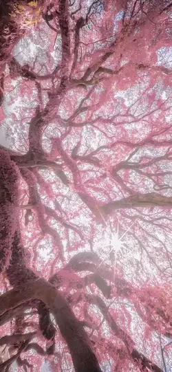 『なんでもないや』