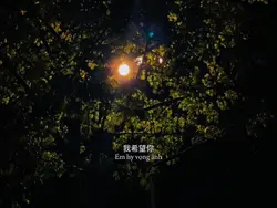 独家记忆