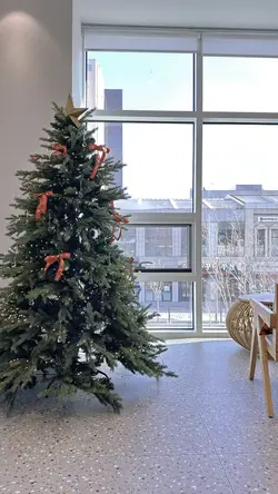 Christmas 크리스마스