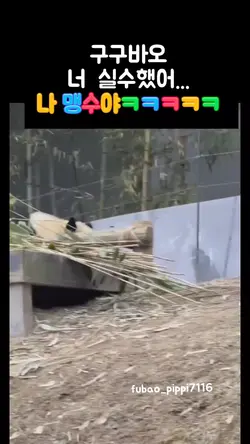 구구바오 너
실수했어... 맹수야ㅋㅋ
