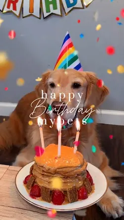 Birthday Pets