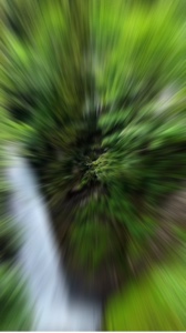 Nueva plantilla 