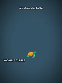 A TURTLE