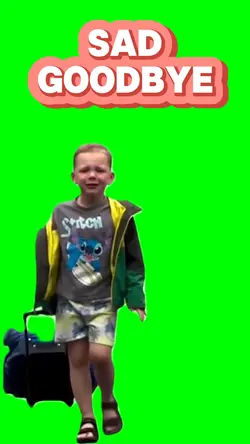 Sad Goodbye
