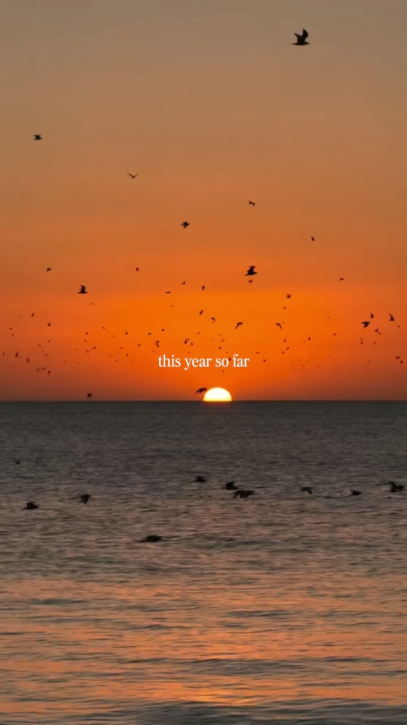 this year so far