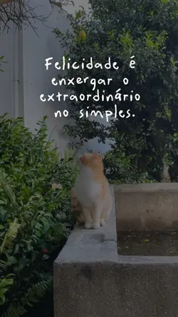 Felicidade