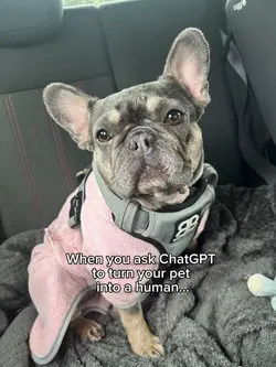 Dog to human ChatGPT