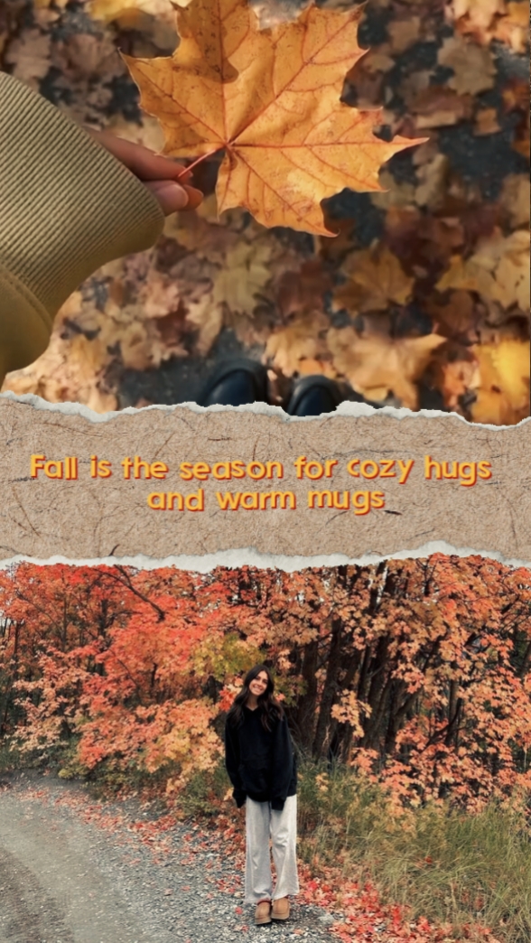 Autumn Vibes