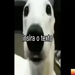 seu tysusieosoosksks