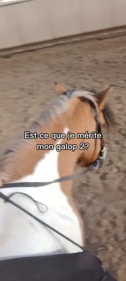 galop 2 ou pas?