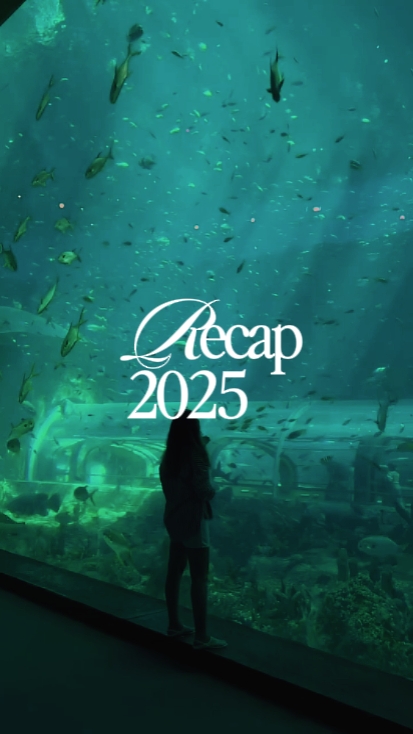 Resumen de 2025