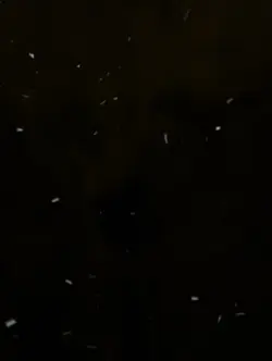 song