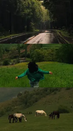 3Grid videos