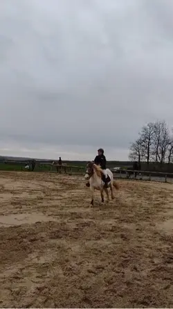Wait for it