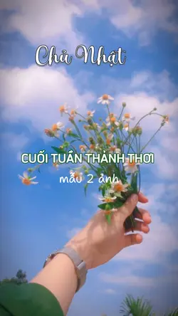 chủ nhật thảnh thơi 