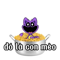Con mèo cute 