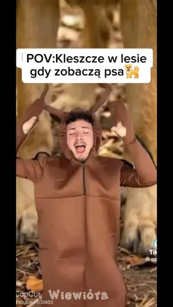 Kleszcze