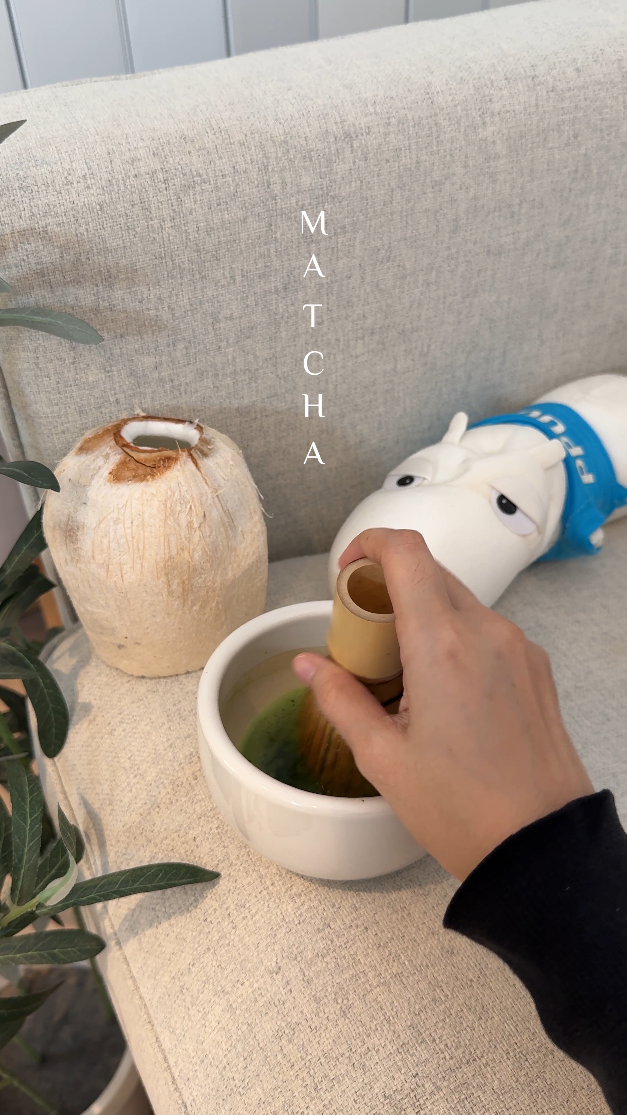 Matcha | 🌿