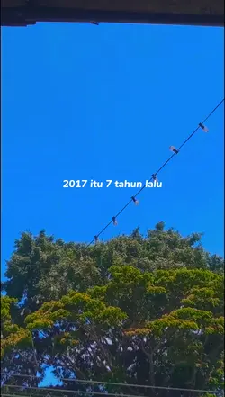 trnyta sdh setua itu