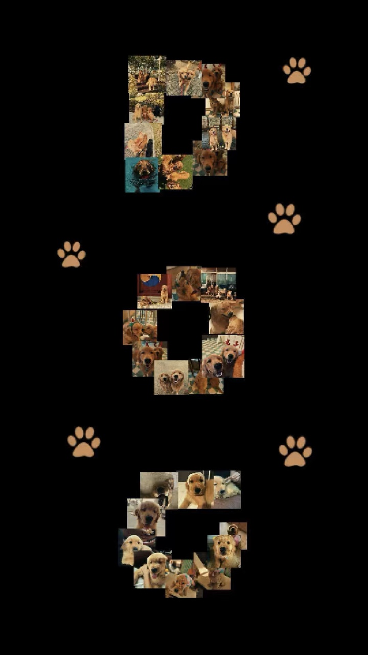 Dog templates