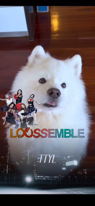 TTYL LOOSSENBLE