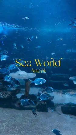Sea Worl