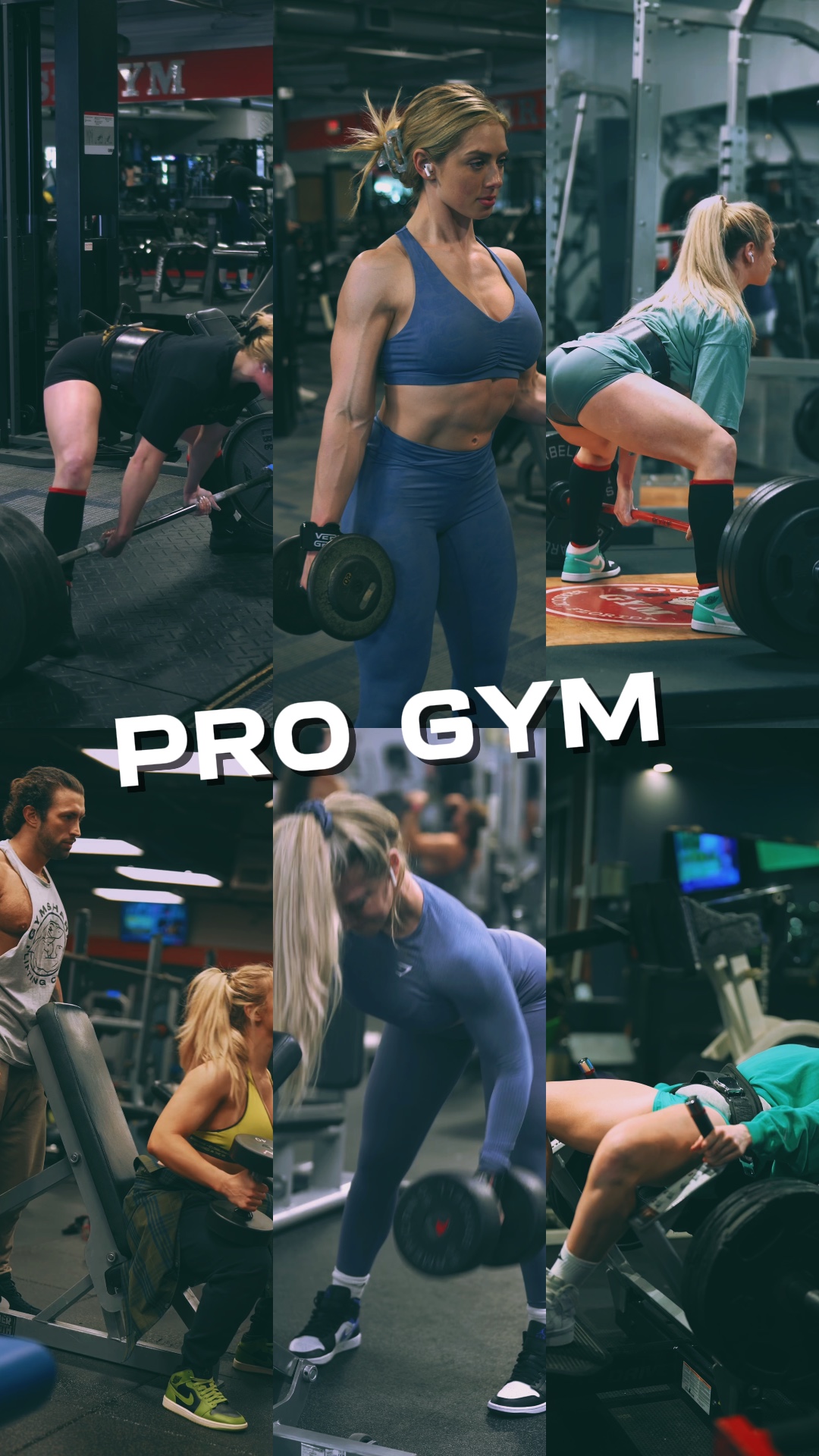 GIMNASIO PROFESIONAL | 6 Video