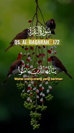 QS. AL-BAQARAH 172