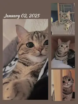 January 02 