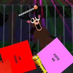 99 noite na floresta