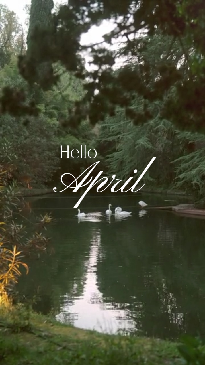 Halo April *
