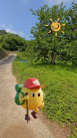인생찾아사랑찾아