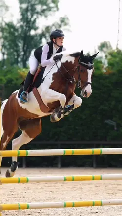 Nicole e Jackpot😻💫