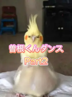 曽根くんダンスPart2