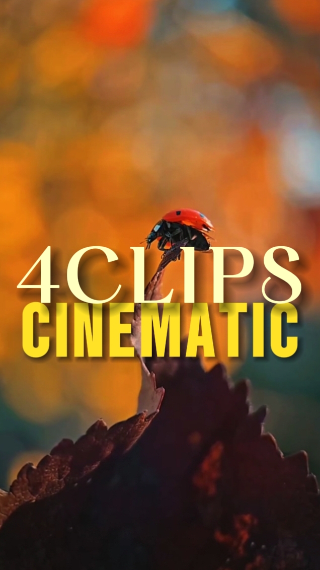 4 CLIPS CINEMATIC