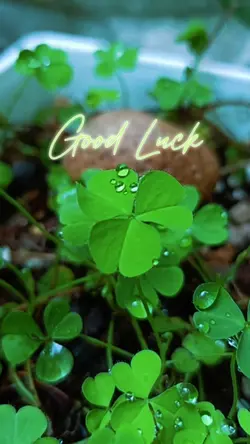 Good luck