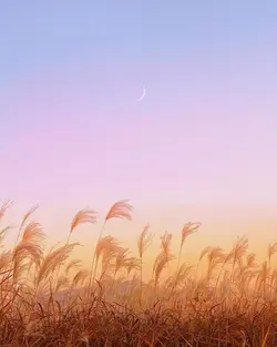 사용하면 음악 바껴요