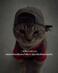 เท่ๆการทำงาน