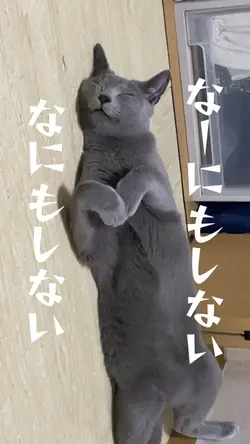 なーにもしないなにもしない