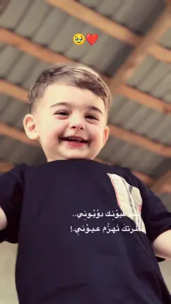 yeni şablon